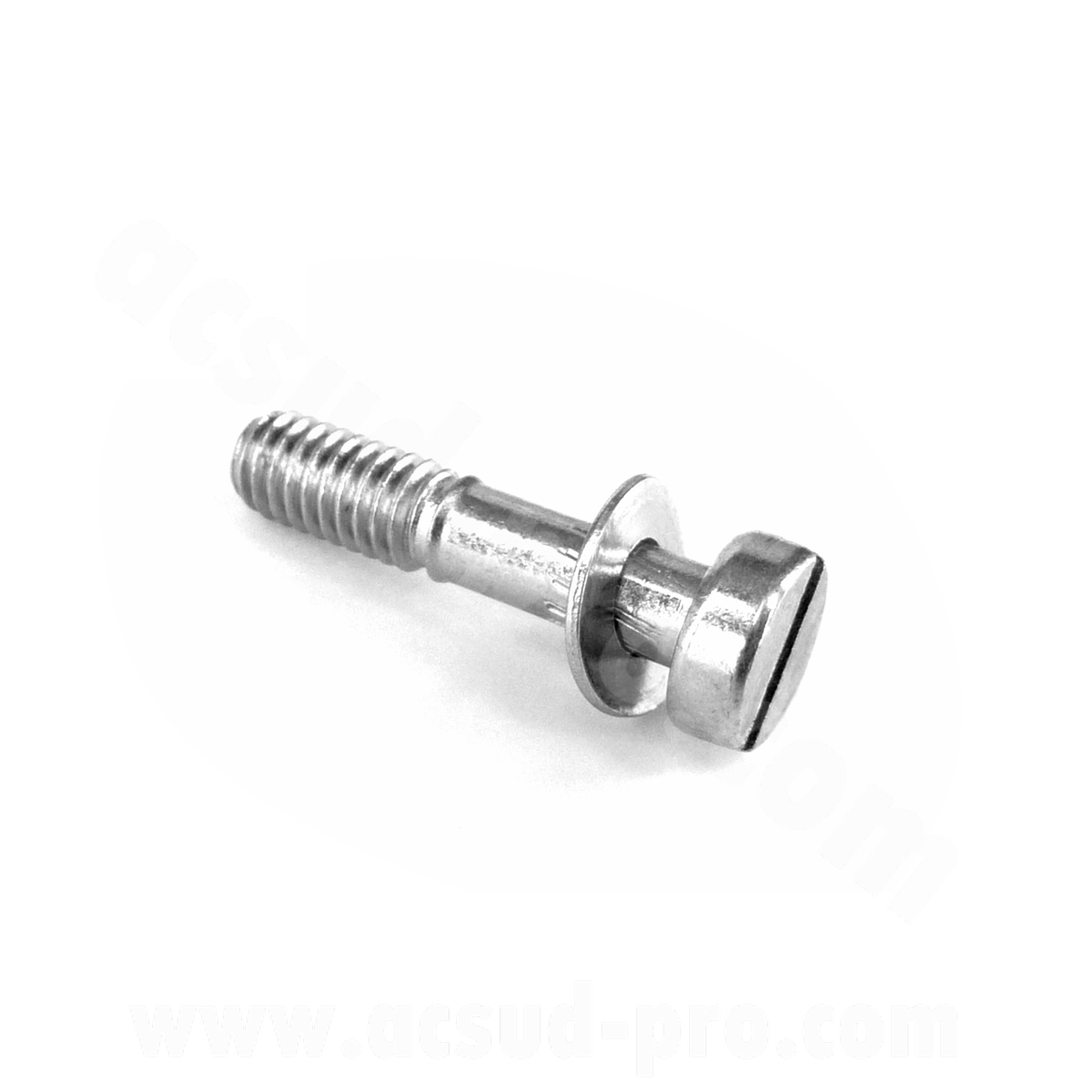Vis de cuve carburateur dellorto phva / PHBN (13709 36)