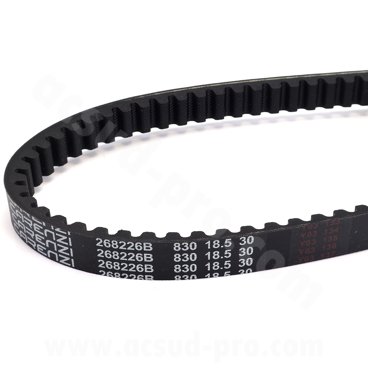 Courroie aramide EPDM Carenzi 830 x 18,5 x 8 x 30 Piaggio Typhoon/Liberty/Fly Aprilia Scarabeo Suzuki Katana - vue 2
