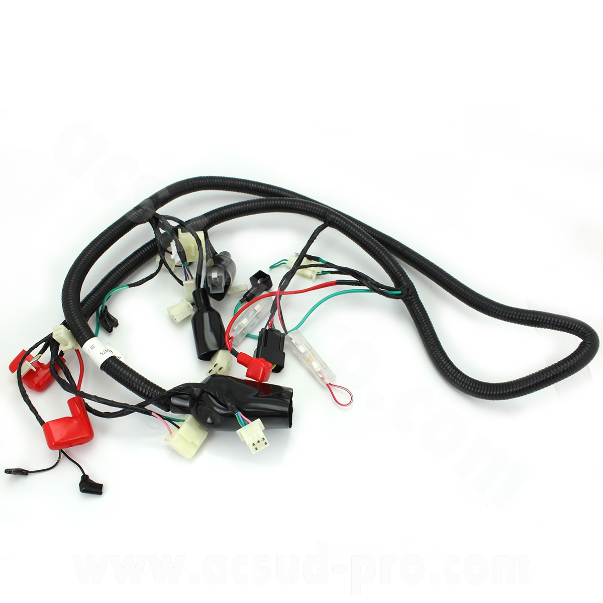 Faisceau électrique TNT Motor Boston 10 et 12 pouces Euro 4 31 connectiques