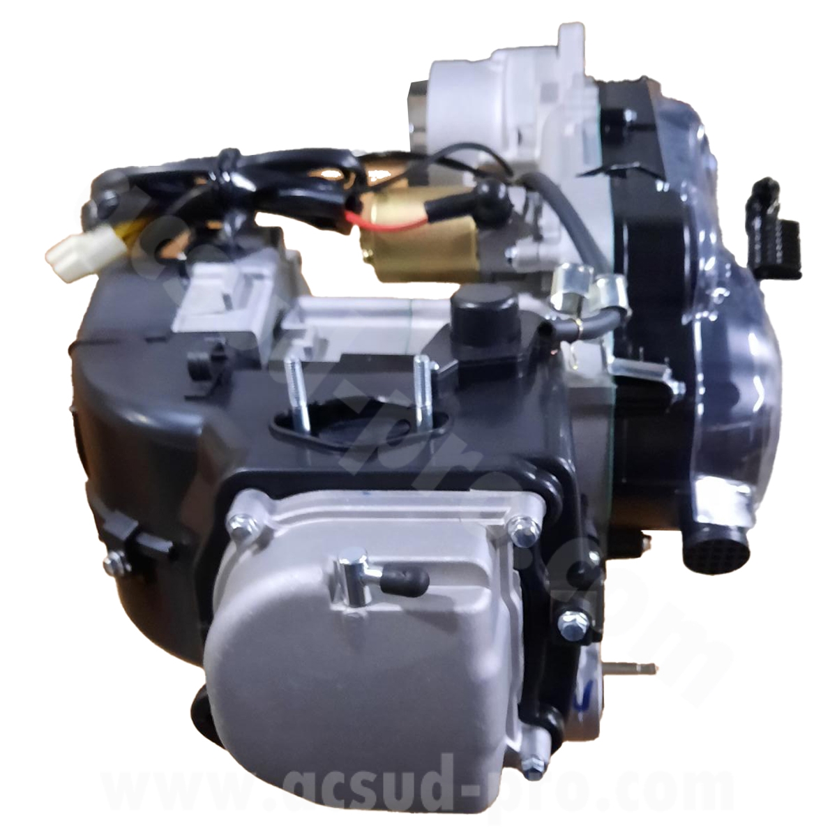 Moteur 12" Dixon V2 TNT MOTOR - vue 2