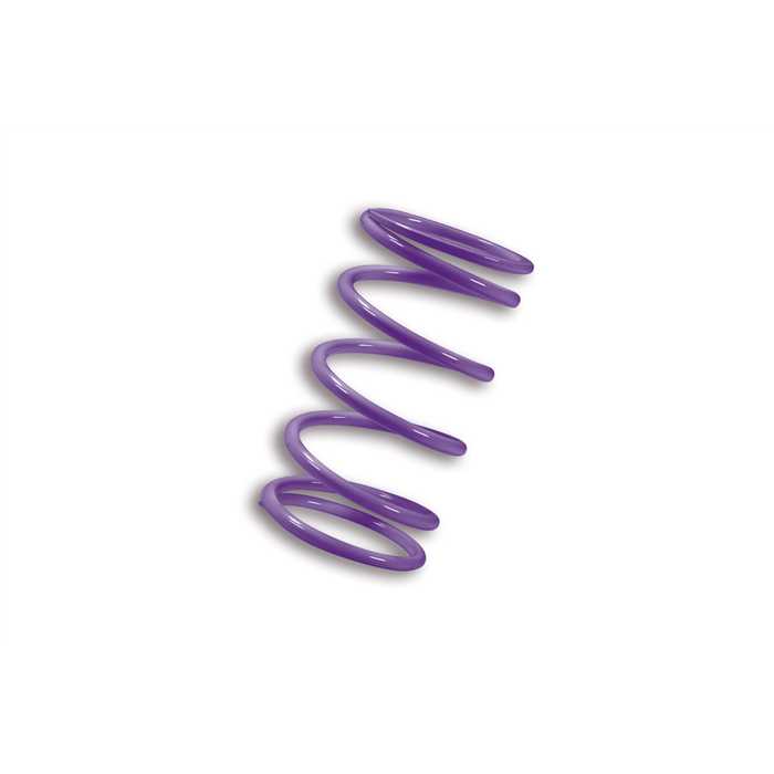 Variateur Malossi Molla Contrasto Violet Ø 70,75x105mm Ø fil 6,5
