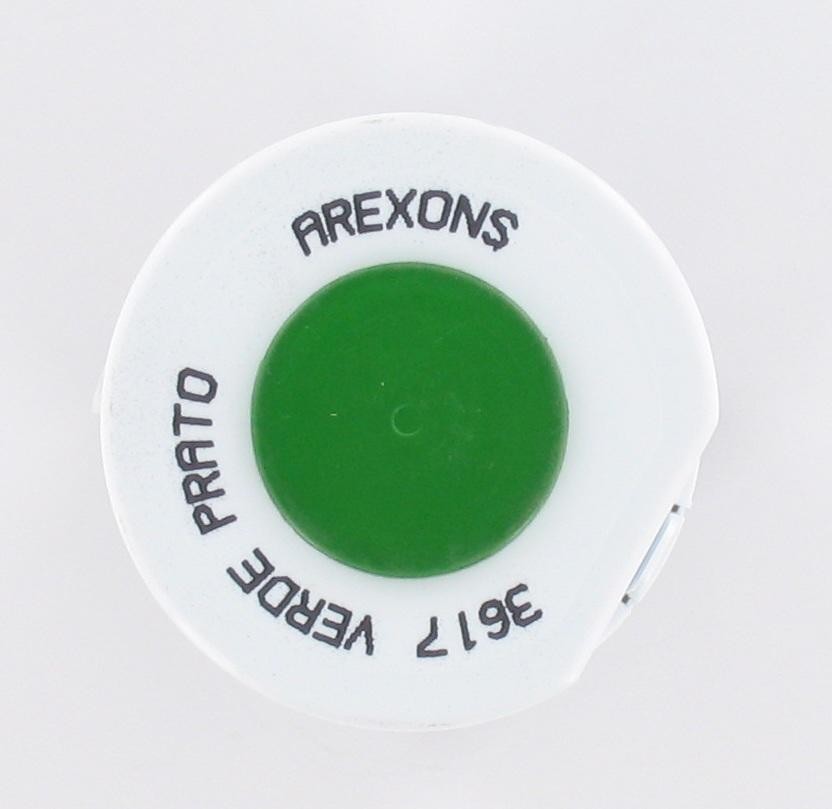 Bombe de peinture acrylique Arexons Vert gazon 400 ml - vue 2