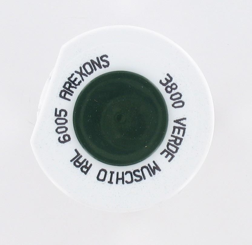 Bombe de peinture spécial métaux Vert mousse brillant RAL 6005 400 ml AREXONS - vue 2