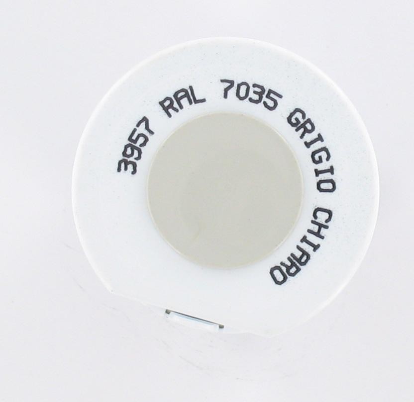 Bombe de peinture gris clair cadre/réservoir RAL 7035 400 ml Arexons - vue 2