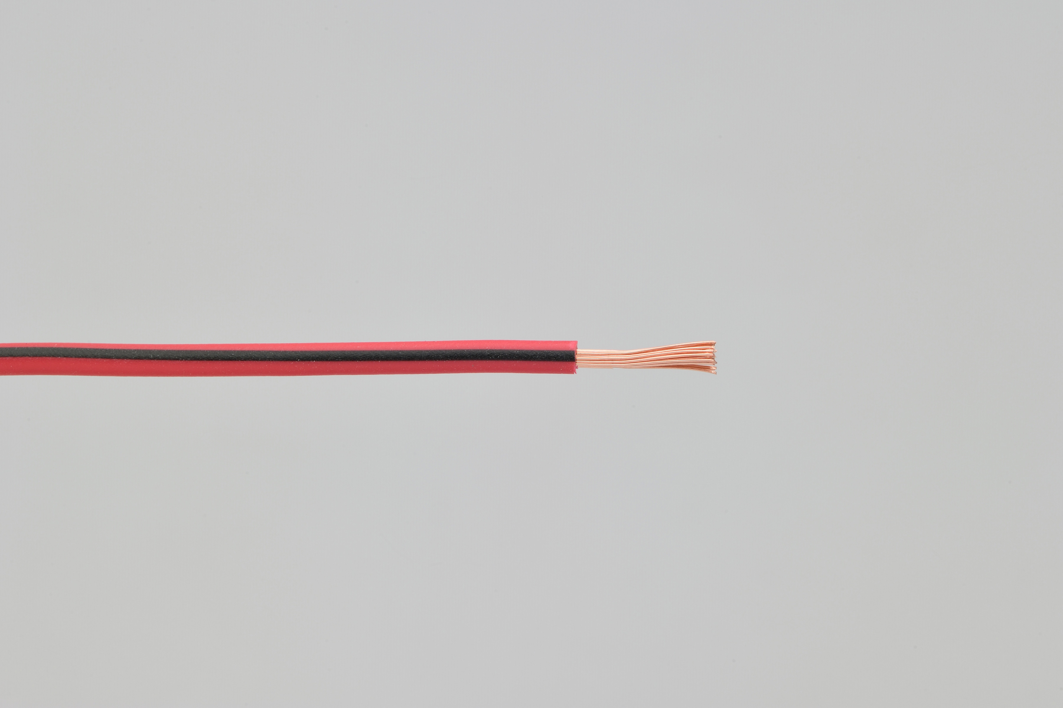 Câble électrique AVS0.75 rouge/noir 2m DAYTONA - vue 2