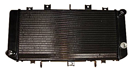 Radiateur d'eau Brazoline Kawasaki Z 750 04/06 - vue 2
