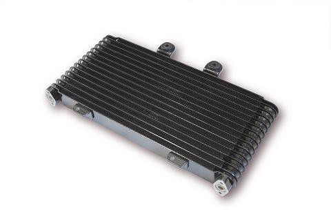 Radiateur d'huile BRAZOLINE Suzuki GSF 1200 Bandit WVA9 01/06