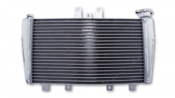 Radiateur d'eau Brazoline Triumph Speed Triple 1050 (2005-2010)
