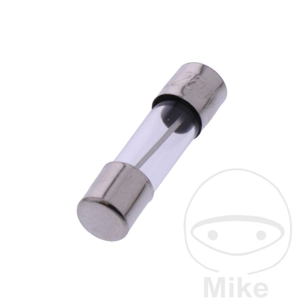 Glass fuse FL 10A 20X5 see 1490168 01/26 - vue 2