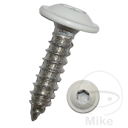 Vis tôle à collerette 4.8X16 Torx blanc A2 RAL9010 Dresselhaus