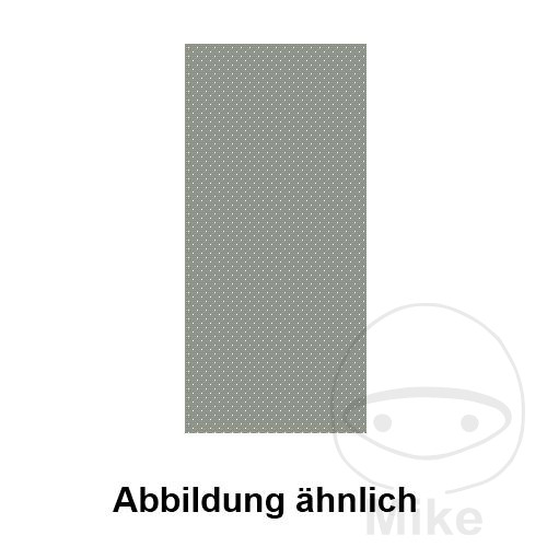 Paroi arrière tôle Rauscher 2200x970mm