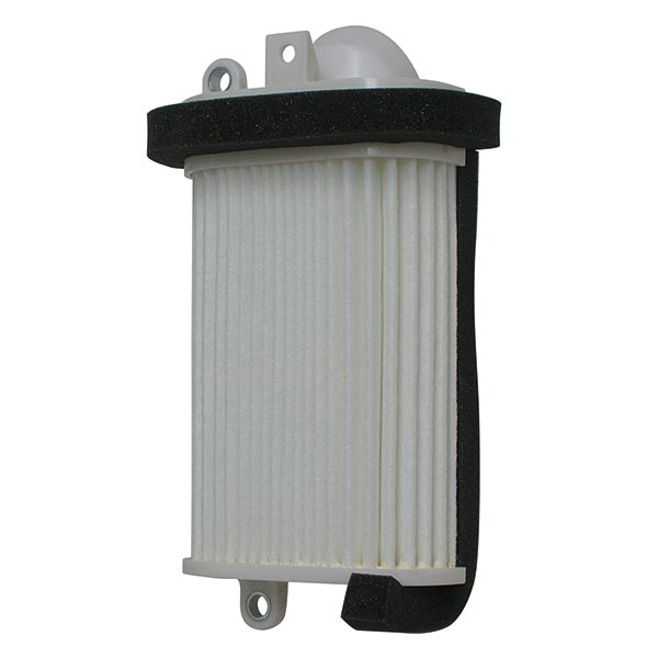 Filtre à air SGR MIW