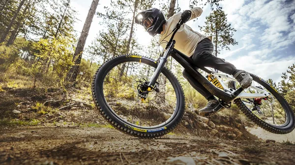 Pneu arrière MICHELIN DH 16 Racing 29" x 2,40 - vue 3