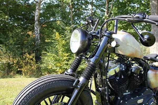 Protections de fourche CULT WERK - vue 4