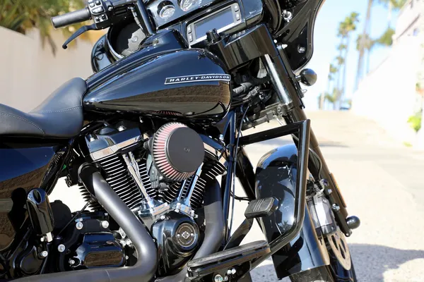 Pare-moteur Twin Peaks LA CHOPPERS - vue 2