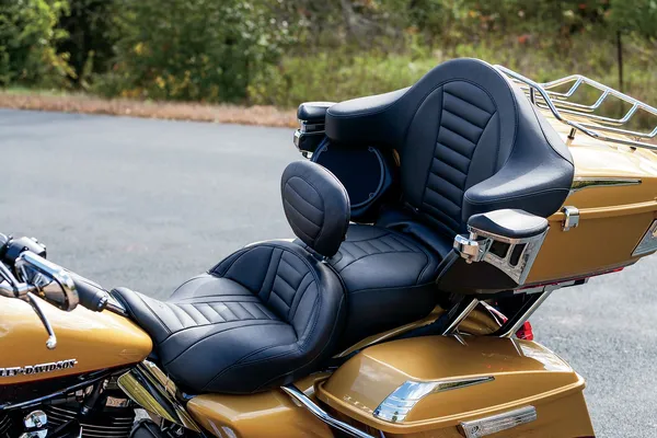 Coussin Deluxe Tourbox MUSTANG - vue 3