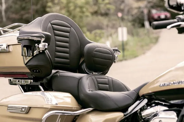 Coussin Deluxe Tourbox MUSTANG - vue 4