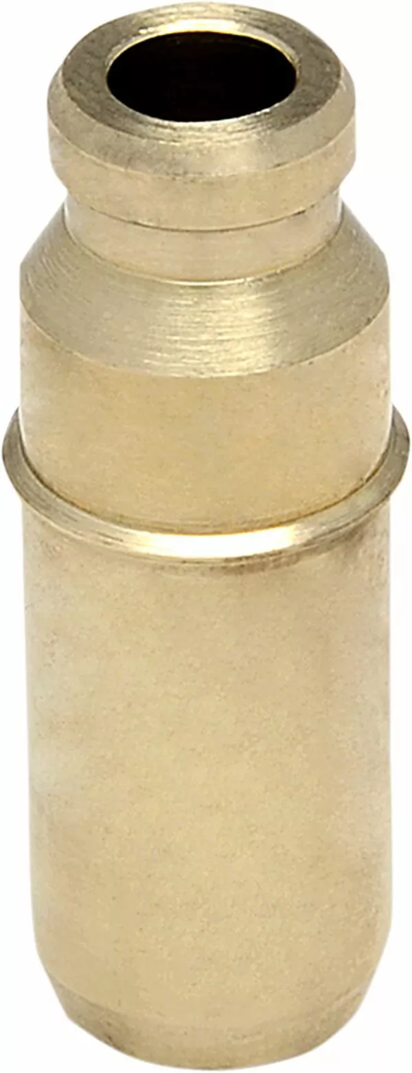 Guide STD 06-08 TRX450R KIBBLEWHITE - vue 3