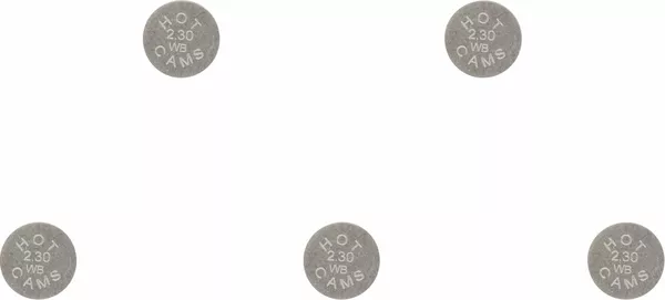 Pastilles de soupape de rechange HOT CAMS - vue 2