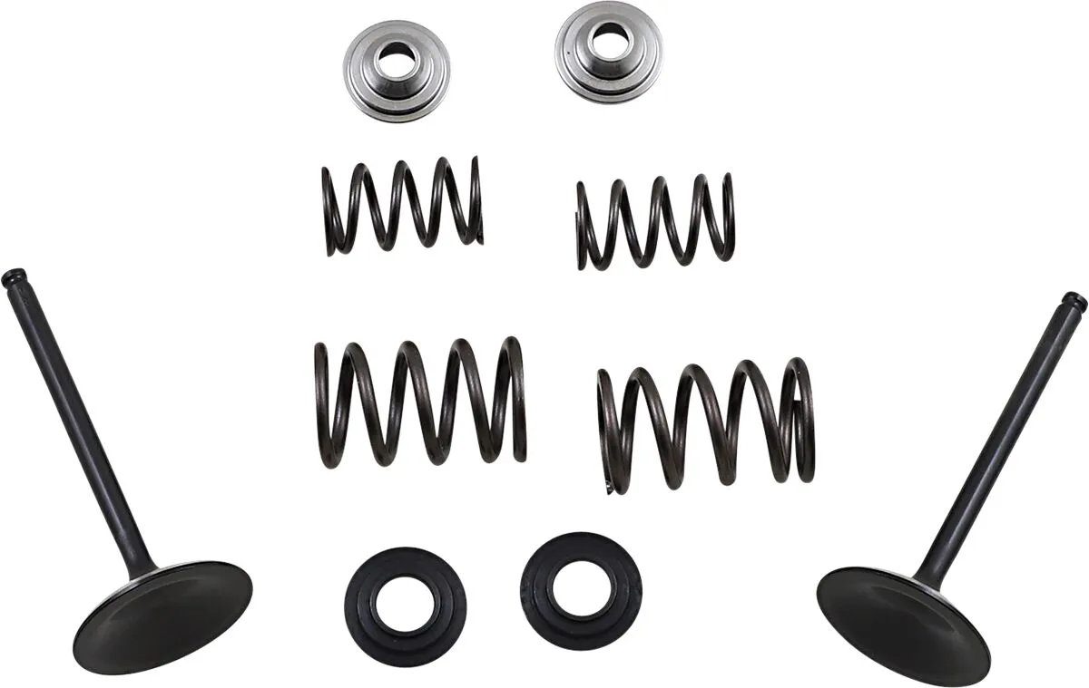 Kit soupapes MSE LTR450 - vue 2