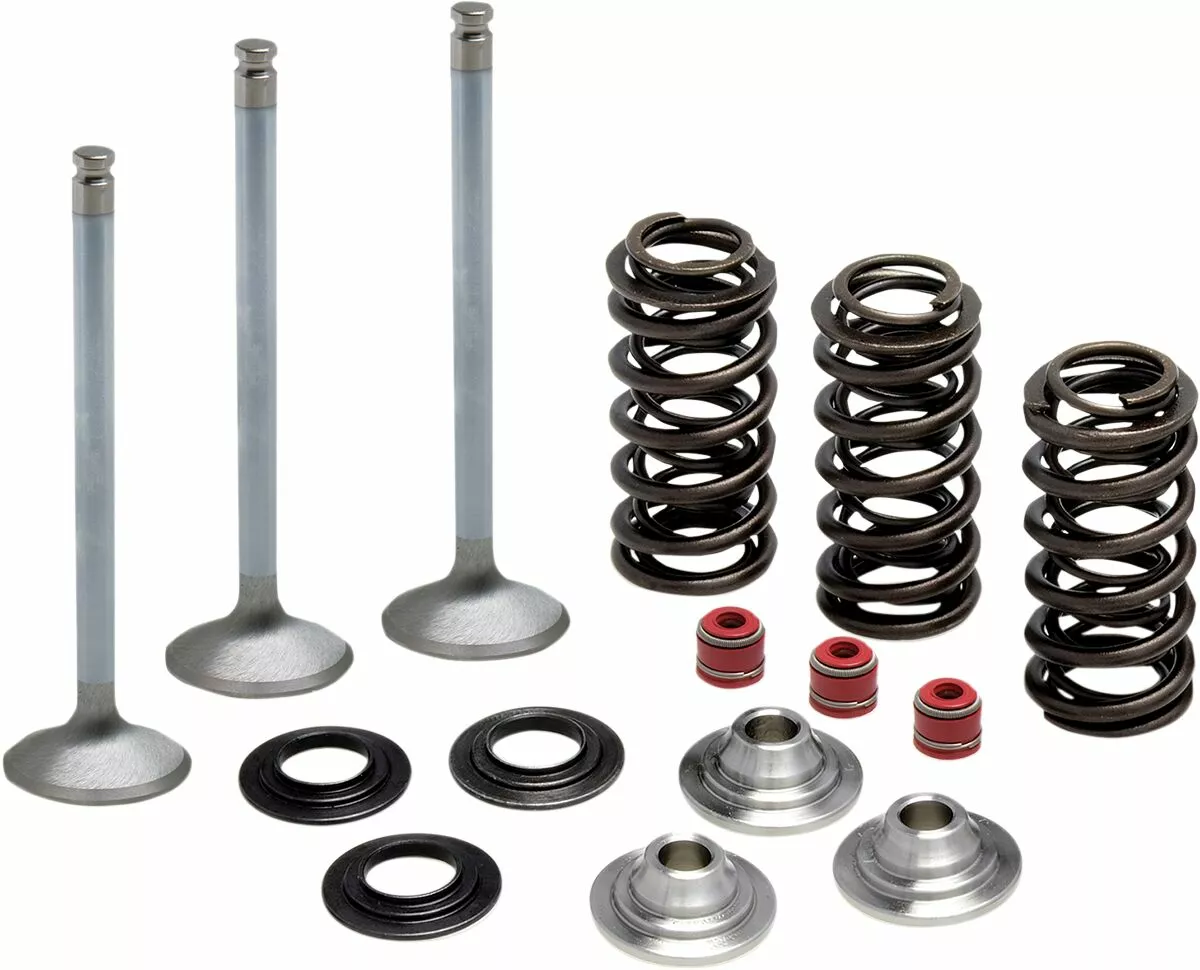 Kit de conversion de soupapes et ressorts en acier inoxydable Kibblewhite