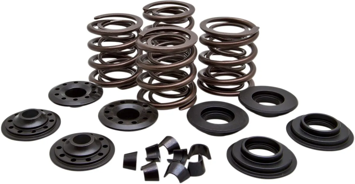 Kit ressorts de soupape Racing KIBBLEWHITE