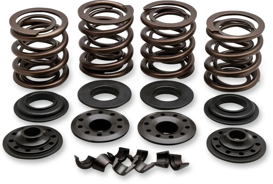 Kit de ressorts de soupape de rechange OEM Kibblewhite