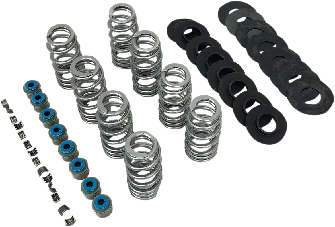Kit ressorts de soupape Endurance Beehive® FEULING PARTS