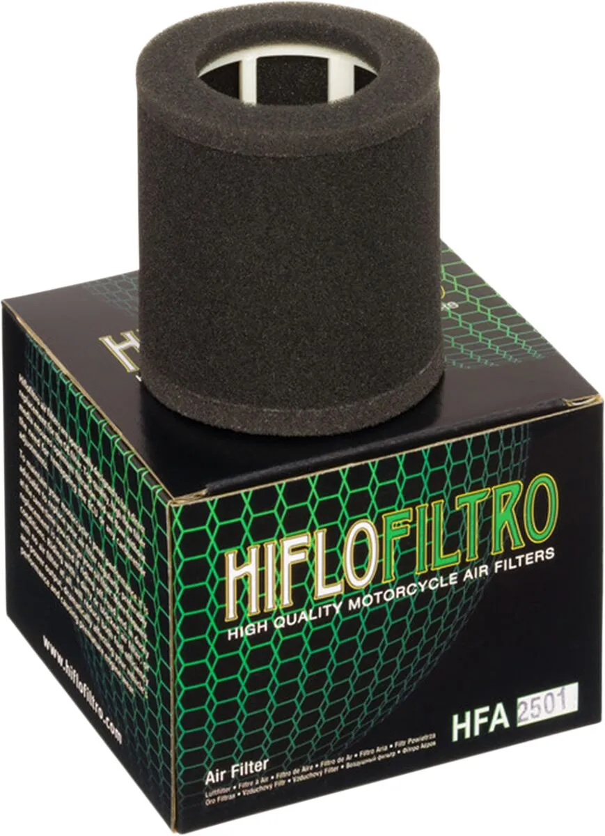 Filtre à air OE de rechange HIFLOFILTRO - vue 2