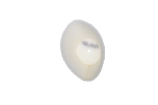 Couvre-filtre à air anti-poussière TWIN AIR - vue 2