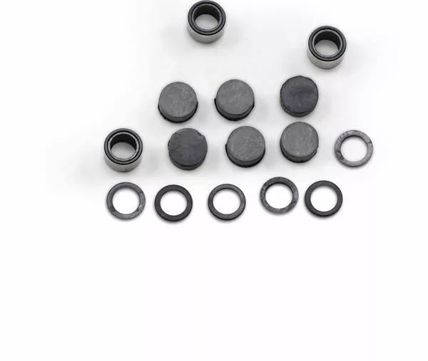 Kit de boutons et rouleaux pour embrayage primaire EPI - vue 2