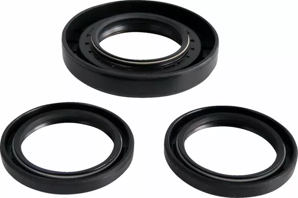 Kit joints de différentiel arrière EPI