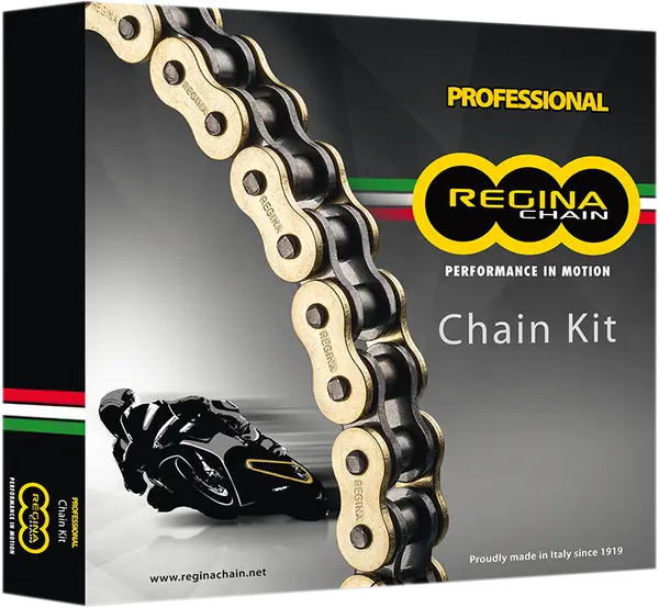 Kit chaîne et pignons Regina Duc 695 2006-2008