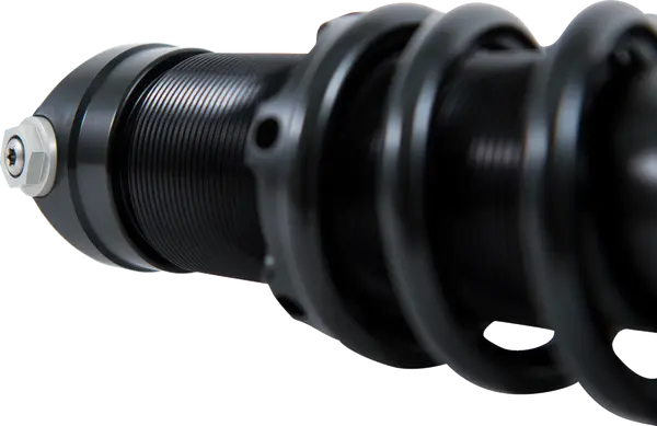 Amortisseurs Ohlins Dyna FXD 1991-2017 - vue 2