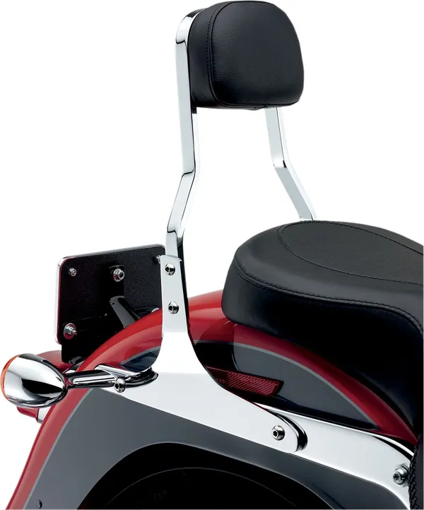 Sissy Bar carré COBRA - vue 5