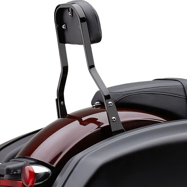 Kit de dossier amovible Cobra - vue 3