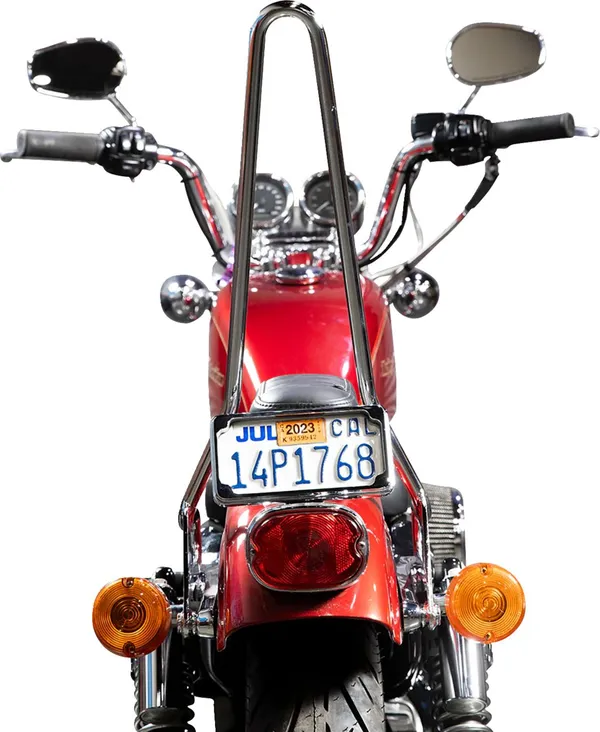 Barres sissy EXFIL Biltwell - vue 7