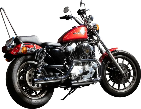 Barres sissy EXFIL Biltwell - vue 8