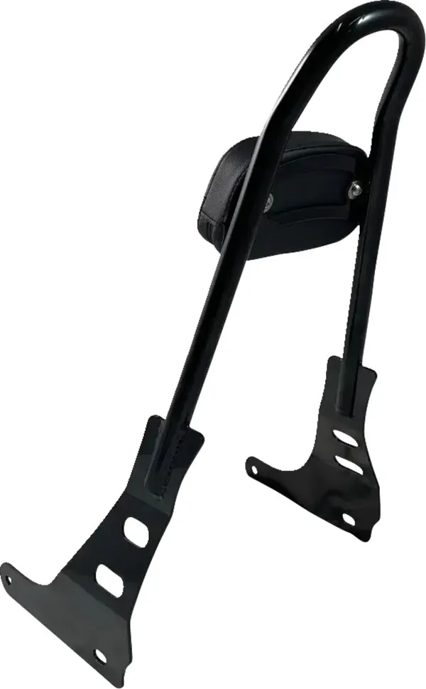 Sissy bar monobloc Motherwell - vue 2