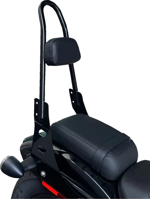 Sissy bar monobloc Motherwell - vue 3