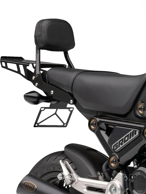 Porte-bagages Sissy Bar COBRA - vue 3