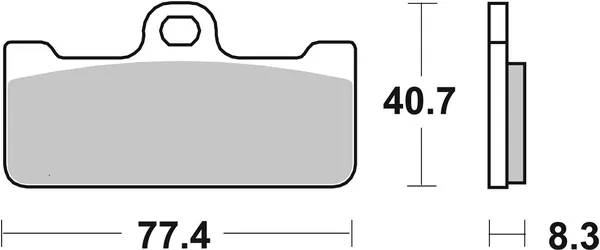 Plaquettes de frein double frittées SBS DS Racing - vue 2