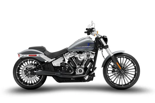 Ligne d'échappement intégrale 2-en-1 Zard pour Harley-Davidson Softail - vue 5