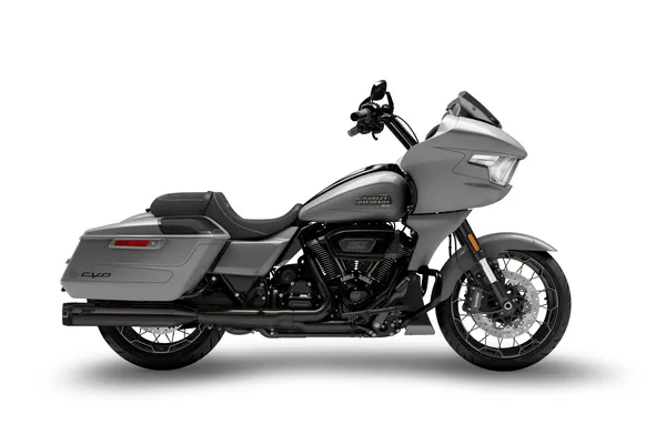 Silencieux Slip-Ons ZARD 4,5 pouces pour Harley-Davidson Grand American Touring - vue 10