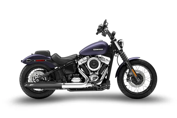 Silencieux Slip-On ZARD 4,5 pouces pour HD Softail - vue 4