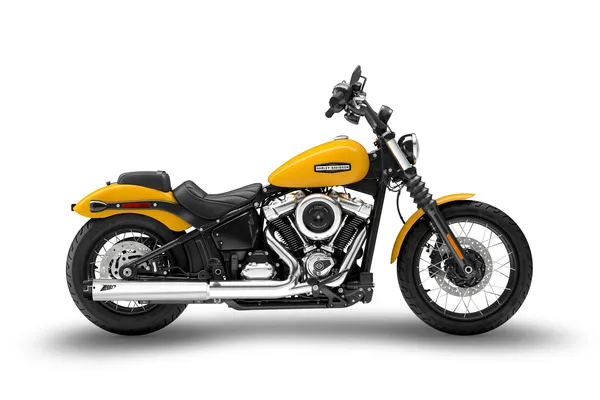 Silencieux Slip-On ZARD 4,5 pouces pour Harley-Davidson Softail - vue 3