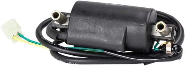 Bobine d'allumage Rick's Motorsport Electric