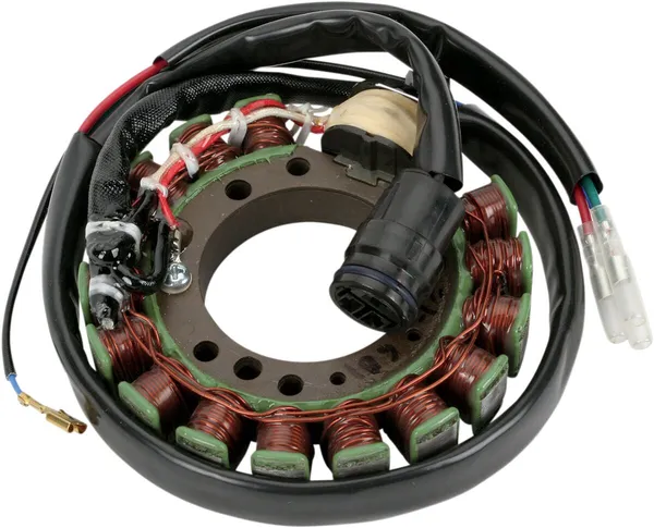 Stator Rick's Motorsport Electric