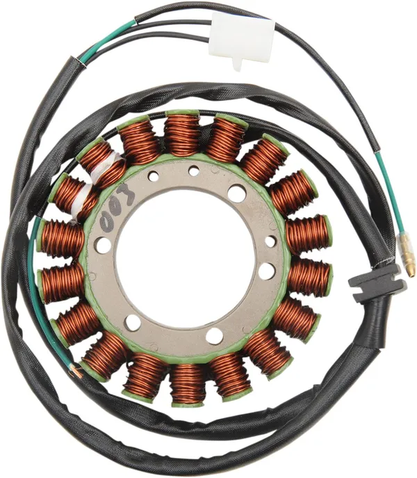 Stator Rick's Motorsport Electric