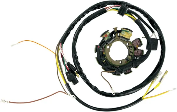 Stator Polaris Rick's Motorsport Electric